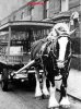 Alum Rock Bowyer Rd.  Co op Milkman Alan Judd with Bonita c1937   .jpg