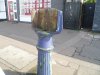 various pics may 2016 002.JPG