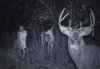 ghost-and-deer.jpg