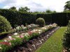 my ladies border.jpg