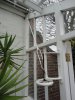 4_greenhouse.JPG