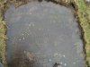 Gravestone.jpg
