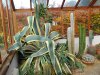 DSCN0665.JPG
