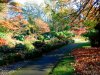 DSCN0674A.jpg