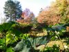 DSCN0677.JPG