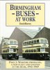 BUSES 001.jpg