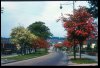 Harborne Lane 1960.JPG