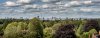 IMG_5137-Pano.jpg