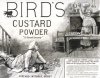 birds-custard-powder-ad.jpg