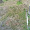 Witton_82-13085_William_Shore_1938_View_uphill.JPG