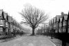 Arden Rd. Acocks Green. 1905..jpg