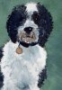 Muriel Dog.jpg