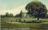 #9 - Small Heath Park - 1907.jpg