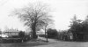goosemoor1931.jpg