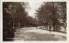 #95 - Cannon Hill Park - Main Drive - c1913.jpg