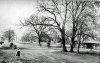 #21 - Pype Hayes Park - c1900 -Shelter.jpg