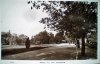 #111 - Cannon Hill Park - Main copy.jpg