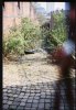 Camden Drive Hockley.JPG