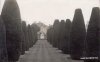 #11 - Packwood House - Topiary.jpg