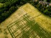 Windermere-Fields-Mavic-Aug-18_0005.jpg