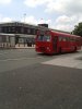 buses 005.jpg