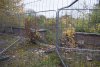 DSC03987_1.JPG