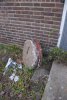 DSC03999_1.JPG