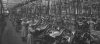 Kynoch006.jpgw750.jpg