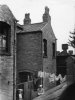 Great Francis Street - Brighton Grove Rear No 94 - 8-5-1950.jpg