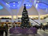 DSC_0106.jpg