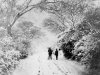 Acocks Green Shaftmoor Lane 1907.jpg