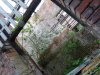 DSC05142JPG.jpg