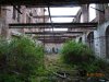 DSC05165JPG.jpg