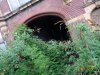 DSC05181JPG.jpg