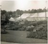 #80 - Handsworth park - Flower show - 1954.jpg