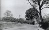 Beeches Rd 1936.jpg