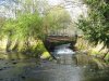 Edgbaston Cannon Hill River Rea & the Bournbrook..jpg