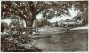 Botanical Gardens (5) - c1937.jpg