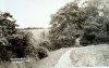 tom knockers wood harborne.jpg