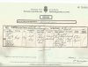 Birth Certificate0003.jpg