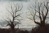 Winter Morning.JPG