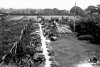 WindyridgeGardenca1936img05.jpg