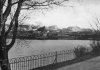 #26 Brookvale Park - 1951.jpg