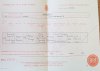 ronans cert.jpg