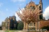 Aston Hall (4).jpg