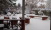 white-2.jpg