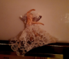 Fairy.png