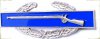Insignia2.jpg