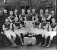 Aston Villa fa cup winners 1895.jpg