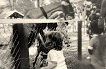 mod_04985DC6-2934-424C-8228-2D11170533DE.jpeg